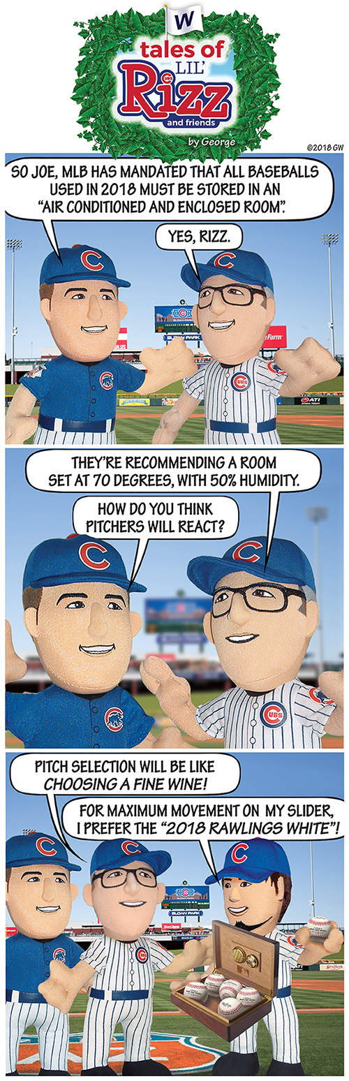 BaseballStorage_Strip